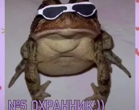 ТОП 5 ЖАБКИНСОВ НЕДЕЛИ — выпуск 3