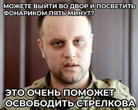 Освободить Стрелкова фонариком