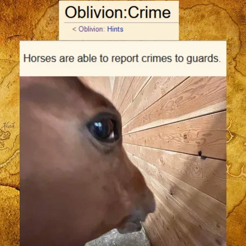 Horse Reports a Crime