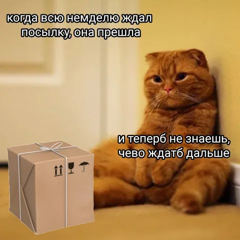 Посылка пришла, а ждать нечего