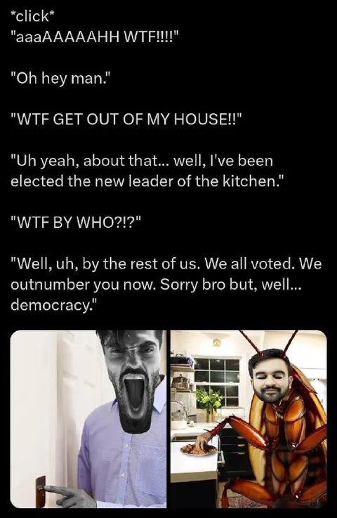 Democratic Kitchen Takeover