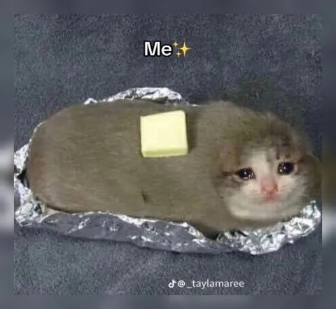 Me as a Baked Potato