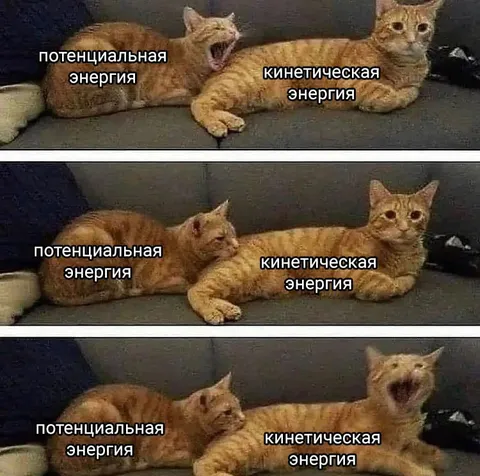 Коты и энергия