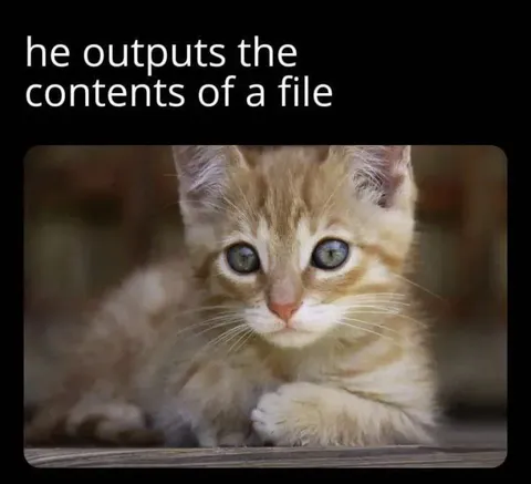 Kitten Outputs File Contents