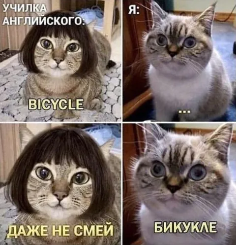 Учительница английского и bicycle
