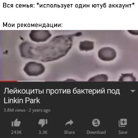 Рекомендации для всей семьи