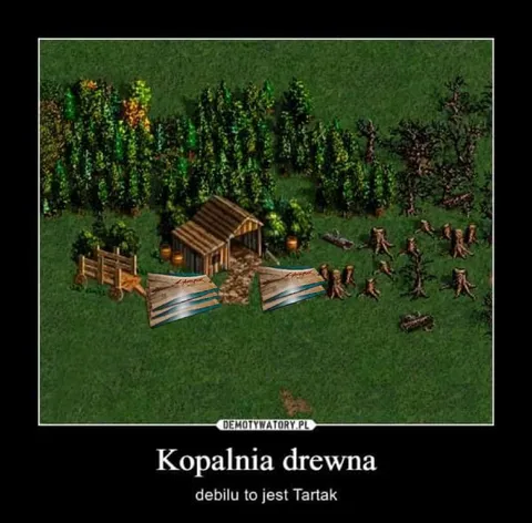 Kopalnia drewna
