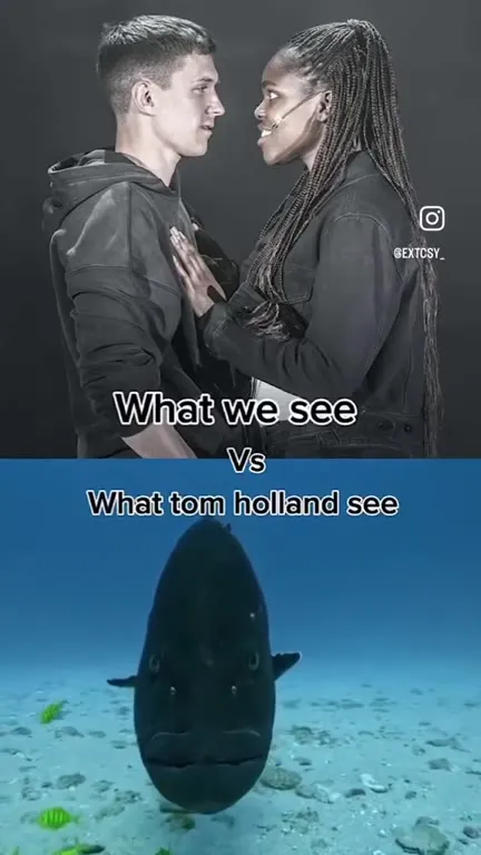 What Tom Holland Sees