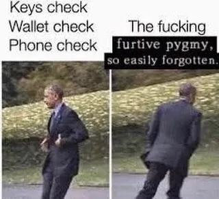 The Forgotten Furtive Pygmy