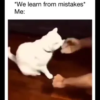 We Learn From Mistakes Cat