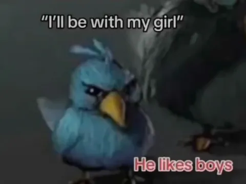 Bird Gang Excuses Exposed
