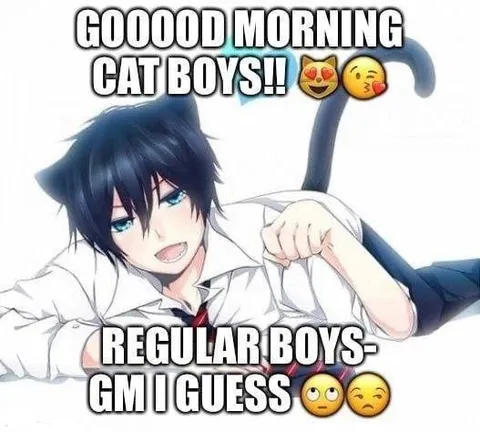 Good Morning Cat Boys