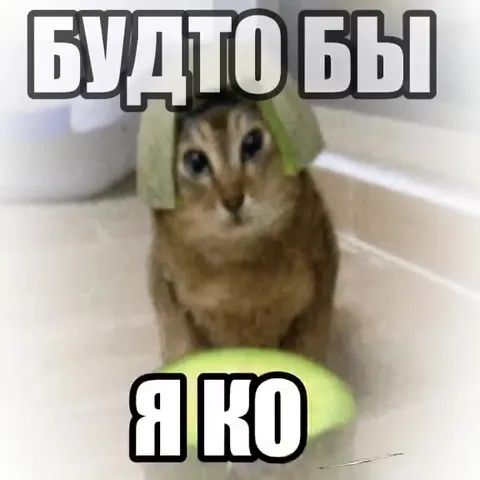 Я такой будто бы Толе