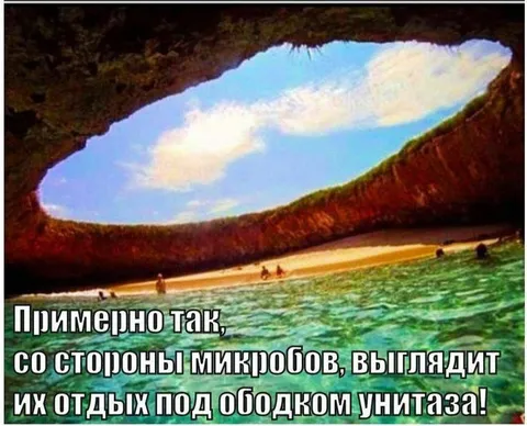 Отдых микробов под ободком
