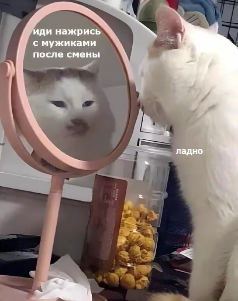 Иди нажрись после смены
