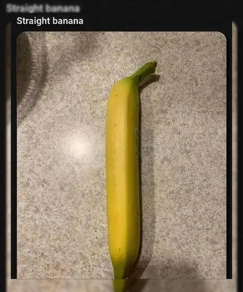 Straight Banana