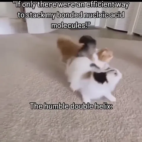 Cats Form a Double Helix