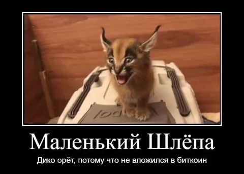 Маленький Шлёпа и биткоин