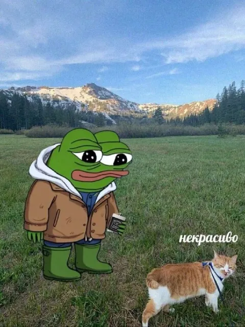 Пепе провожает кота