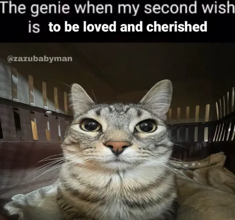 The Genie Grants Love