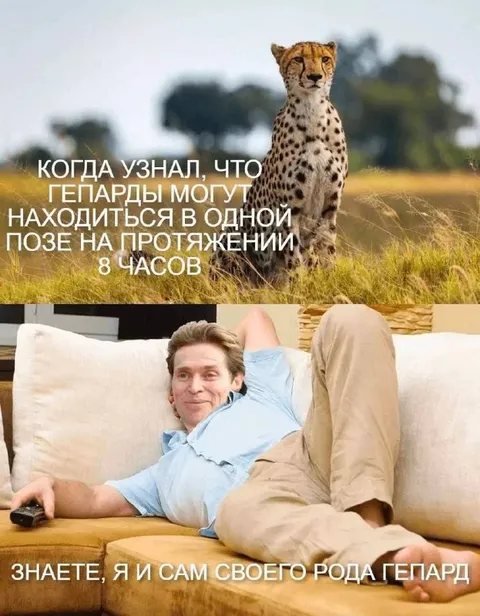 Гепард по натуре