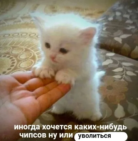 Хочется чипсов или уволиться