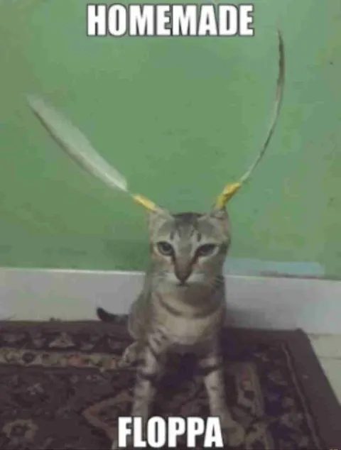 Homemade Floppa Cat