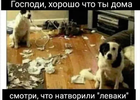 Смотри, что натворили леваки