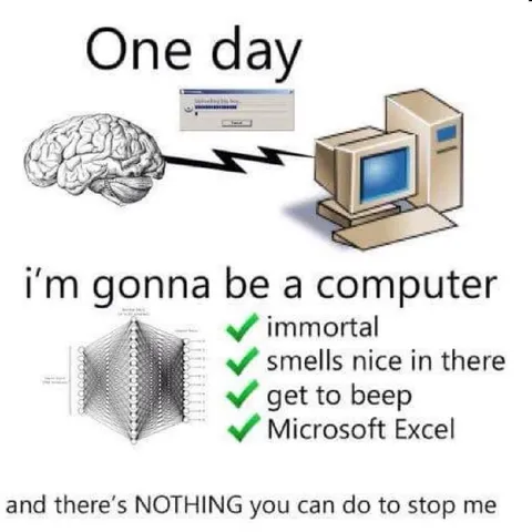 Brain Wants to Be a Computer