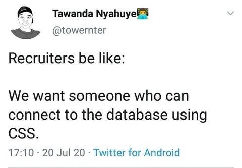 Recruiters Want CSS Database Skills