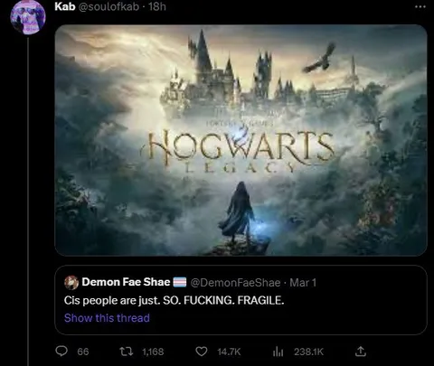 Hogwarts Legacy So Fragile