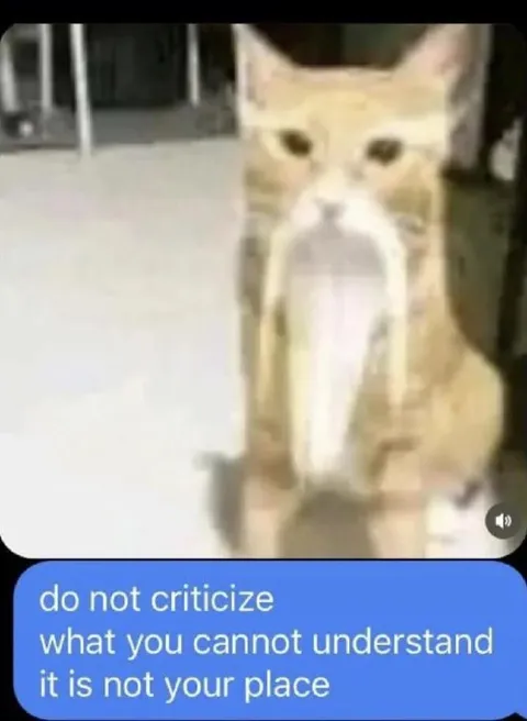 Do Not Criticize What You Cannot Understand