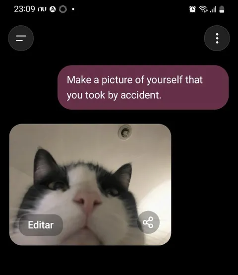 Accidental Cat Selfie