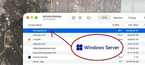 Windows Server on Mac Activity Monitor