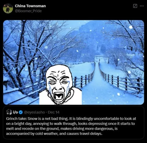 Snow Is a Net Bad Thing