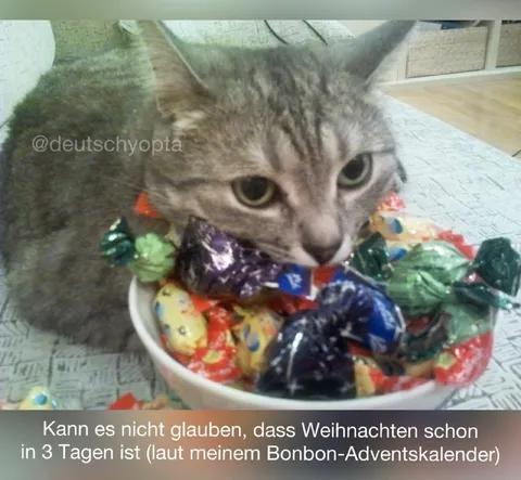 Weihnachten in drei Tagen