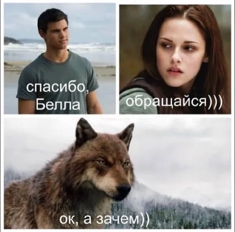Спасибо, Белла — обращайся