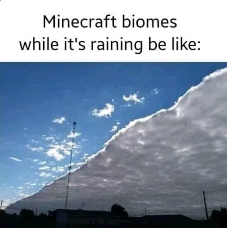 Minecraft Biomes While Raining