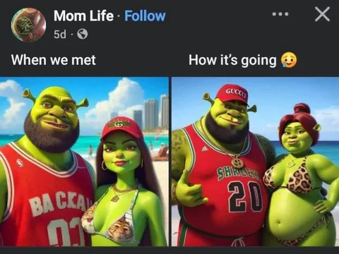 Shrek Relationship Glow-Up