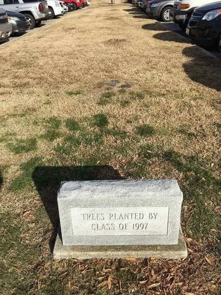 Trees Planted by Class of 1997