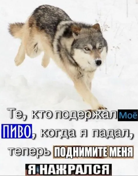 Волк просит поднять его