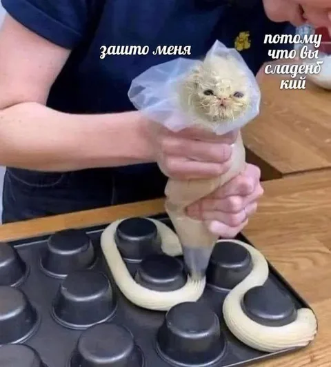 Котик печёт сладенькое