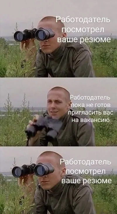 Работодатель смотрит резюме