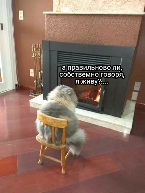 А правильно ли я живу?