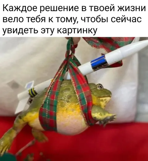 Лягушка, увидевшая эту картинку
