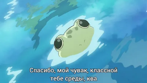 Классной тебе среды, ква
