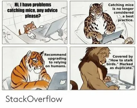Animals Giving Stack Overflow Advice