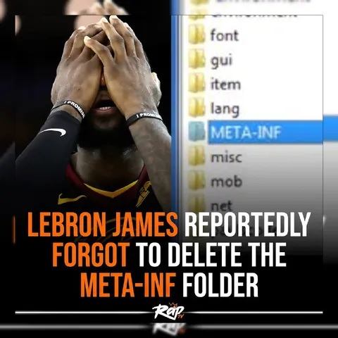 LeBron James Meta-INF Facepalm