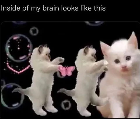 Inside My Brain Looks Like This
