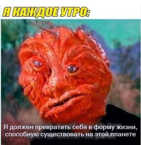 Каждое утро попытка жить